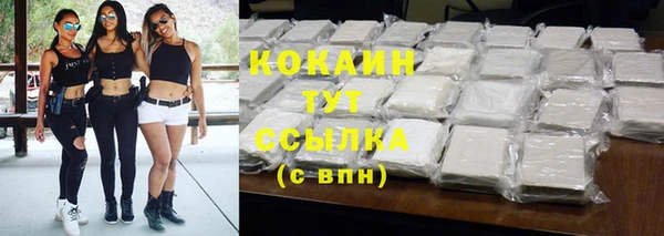 дмт Кодинск
