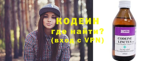 дмт Кодинск