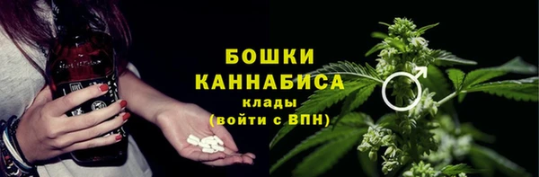 дмт Кодинск