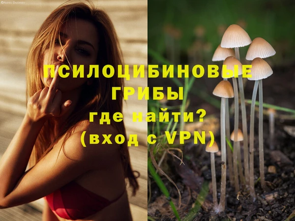 дмт Кодинск