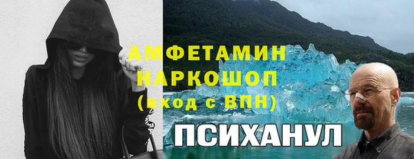 дмт Кодинск