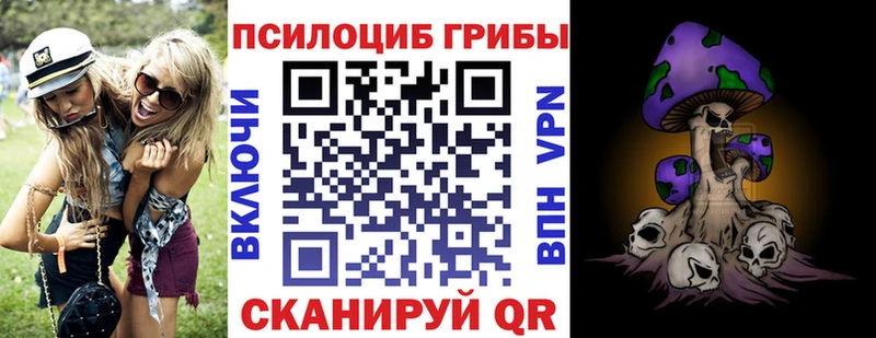 Купить где  Покачи  Псилоцибиновые грибы Cubensis 